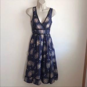 Anthropologie Odille silk dress size 6 EUC